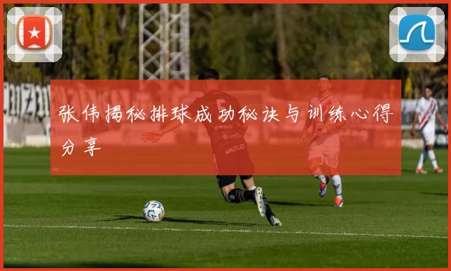 张伟揭秘排球成功秘诀与训练心得分享